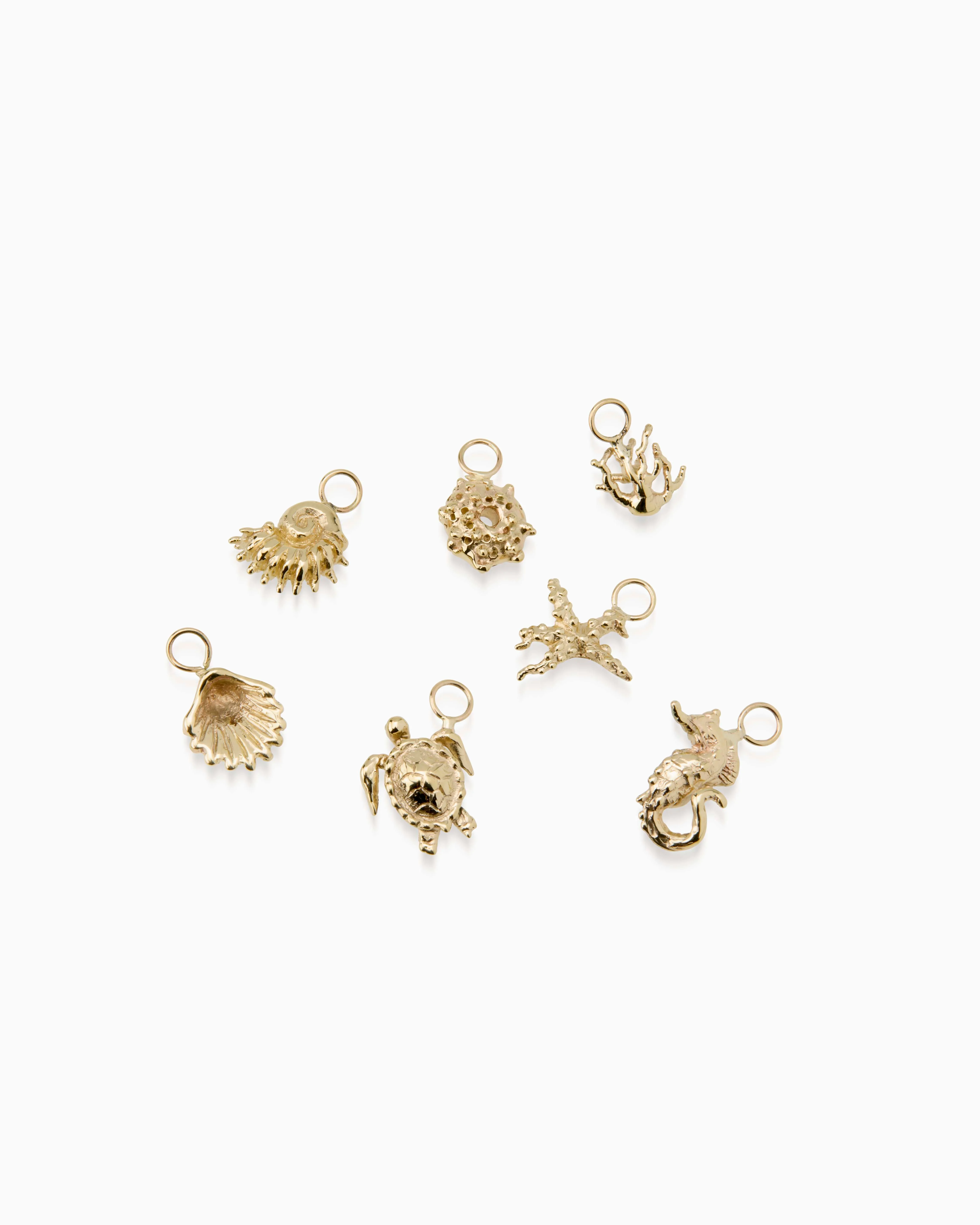 Starfish Earring | Gold