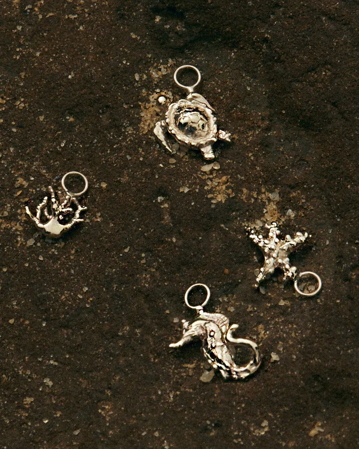 Starfish Earring | Gold